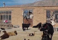 Trip-February 2016 - 33