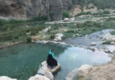 Trip-July 2015 - 15