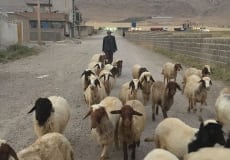 Trip-May 2015 - 8