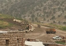 Trip-May 2015 - 21