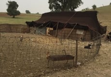 Trip-May 2015 - 27