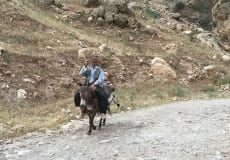Trip-May 2015 - 39