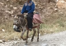 Trip-May 2015 - 40