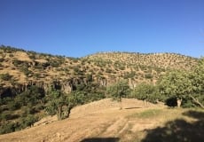 Trip-May 2015 - 41