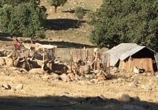 Trip-May 2015 - 42