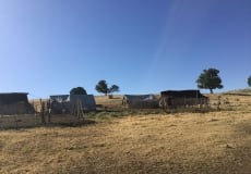 Trip-May 2015 - 43